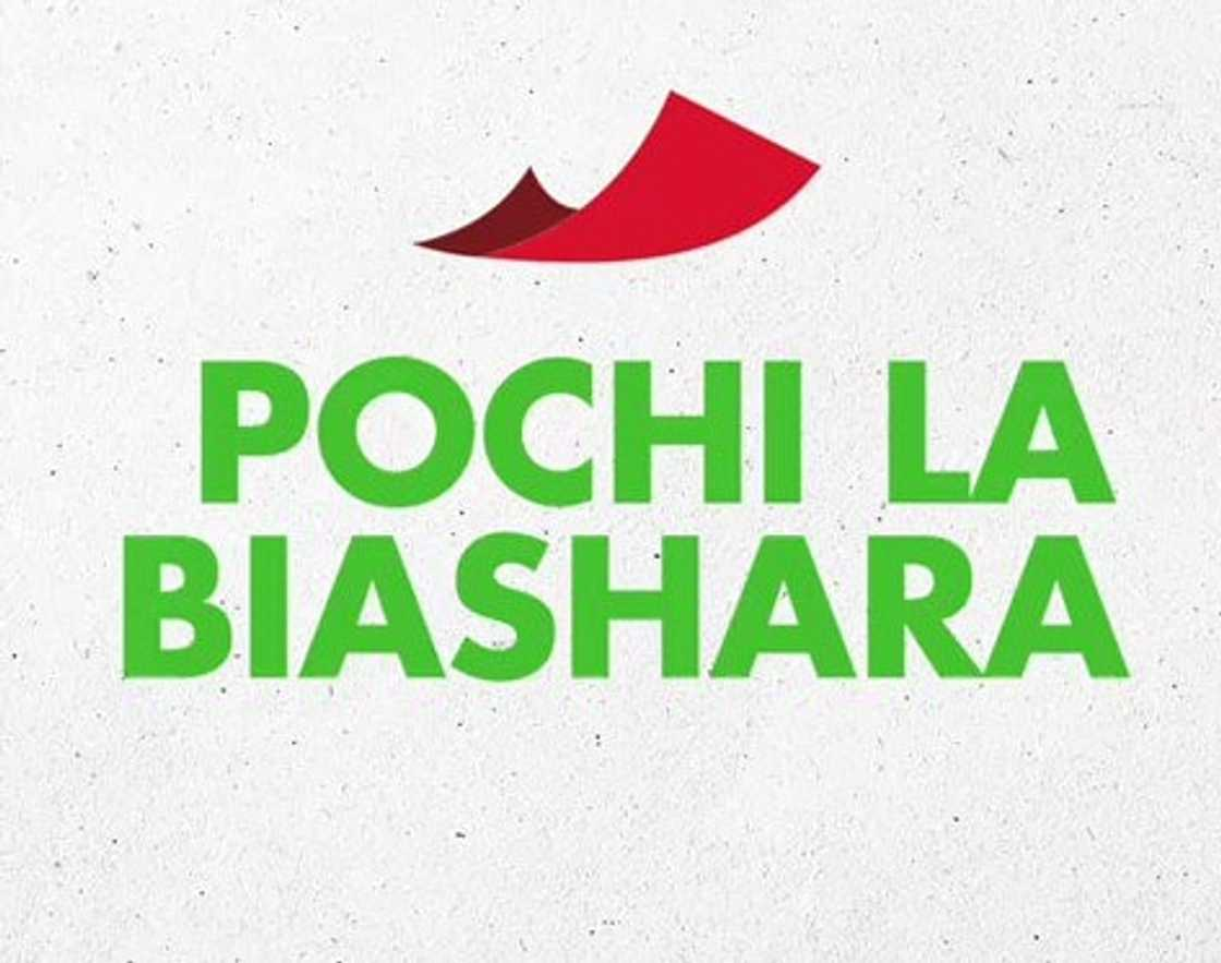 Pochi la Biashara